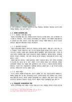 현대인의 정신질환-우울증, ADHD, 결벽증, 경계선 인식장애-사례와 대처방안-11