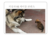 [언론제도] 종합 편성 채널-8