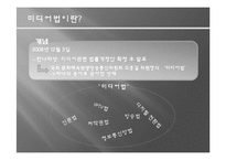 [대중매체와 민주주의] 민주주의의 존재이유-미디어법과 다양성-7