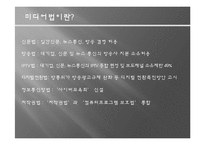 [대중매체와 민주주의] 민주주의의 존재이유-미디어법과 다양성-8