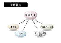 [사회문제론] 문화와 사회-11
