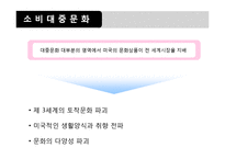 [사회문제론] 문화와 사회-16