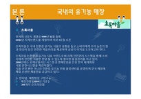 유기농 붐에 대한 고찰-12