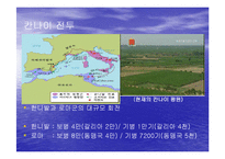 [서양사] 포에니 전쟁과 로마의 발전-17