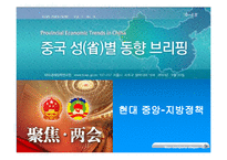 [재정학] 중국 지방정책-9