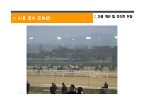 [현대민속학] 과천 경마장 개발로 인한 광창마을 주민의 인식 및 삶의 변화-19