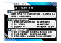 [문화와 커뮤니케이션] 온라인상의 집단극화-11