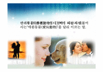 반려동물의 유기문제와 해결방안-2