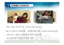 반려동물의 유기문제와 해결방안-6