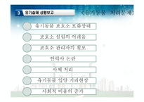 반려동물의 유기문제와 해결방안-10