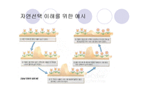 [종교와 과학] 진화론과 창조론-9