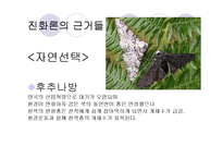 [종교와 과학] 진화론과 창조론-11
