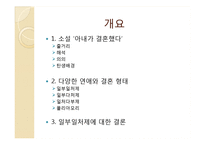 [성과문화] 일부일처제 유효성 논라-소설`아내가 결혼했다` 중심으로-2