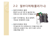 [성과문화] 일부일처제 유효성 논라-소설`아내가 결혼했다` 중심으로-10