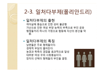 [성과문화] 일부일처제 유효성 논라-소설`아내가 결혼했다` 중심으로-12