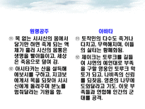 [기호학] 만화 원령공주와 영화 아바타의 기호학적 비교 분석-12