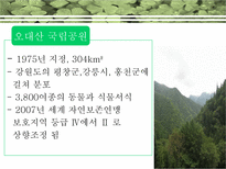 [생태학] `오대산국립공원의 야생동물 로드킬 특성`에 대한 분석-5