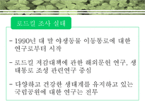 [생태학] `오대산국립공원의 야생동물 로드킬 특성`에 대한 분석-8