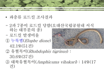 [생태학] `오대산국립공원의 야생동물 로드킬 특성`에 대한 분석-14