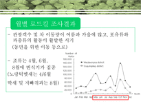 [생태학] `오대산국립공원의 야생동물 로드킬 특성`에 대한 분석-19