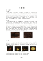 [교육학] 태내기 태아 발달과 출생 이후 성장발달-4