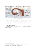 [교육학] 태내기 태아 발달과 출생 이후 성장발달-6