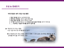 [학습심리] 조작적 강화와 처벌학습을 통한 동물훈련&사육-5