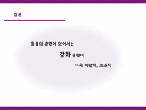 [학습심리] 조작적 강화와 처벌학습을 통한 동물훈련&사육-14