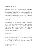 (A+ 레포트) 김정호의 대동여지도의 의미와 가치-4