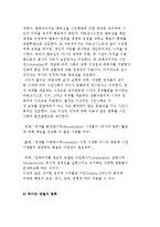 [시민사회의 이념적 시각] 헤프너-재노스키, 월저-디킨, 하이든-반틸, 에드워즈-폴리의 분류-4