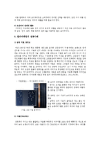 [컬러마케팅] 컬러마케팅의 개요와 성공사례 분석-6
