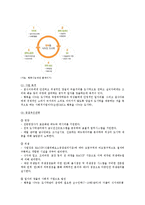 [사회적기업] 국내 사회적기업의 현황과 사례 분석-9