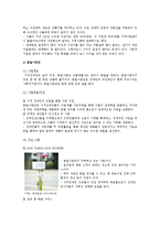 [사회적기업] 국내 사회적기업의 현황과 사례 분석-12