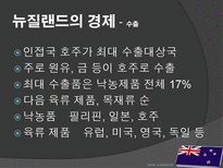뉴질랜드의 모든 것-18
