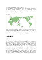 [국제경영] 진로 소주의 일본 진출 사례 분석-4