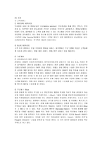 [마케팅] 현대자동차의 국제마케팅 분석-4