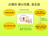 당뇨 길라잡이 레포트-3