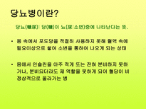 당뇨 길라잡이 레포트-4