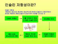당뇨 길라잡이 레포트-11