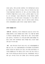 이종격투기 시장의 문제점과 대안-4