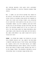 이종격투기 시장의 문제점과 대안-5