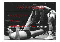 이종격투기(MMA) 역사와 소개-2