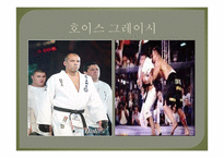 이종격투기(MMA) 역사와 소개-7