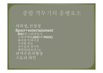 이종격투기(MMA) 역사와 소개-8