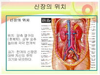 신장질환 및 신장의 식이요법-2