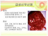 신장질환 및 신장의 식이요법-6