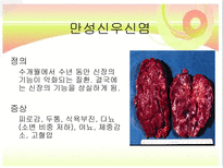 신장질환 및 신장의 식이요법-7