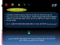 교통약자를 위한 광주 광역시 저상버스 운영실태와 개선방안-8