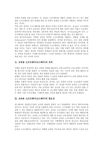 [교육용 소프트웨어][코스웨어]교육용 소프트웨어(코스웨어)성격,필요성,요건,범주, 교육용 소프트웨어(코스웨어)상호작용,개발,공모전,개발방향-3
