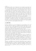 [음반][불법음반][음반기획]음반의 특징, 음반의 발달, 음반의 기획과정, 음반의 생산구조, 음반과 불법음반, 음반과 음반기획 분석-3